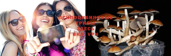 прущая мука Елабуга