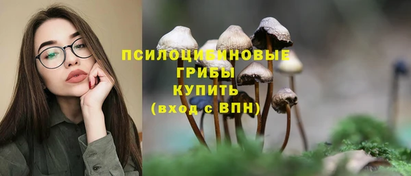 PSILOCYBIN Елизово