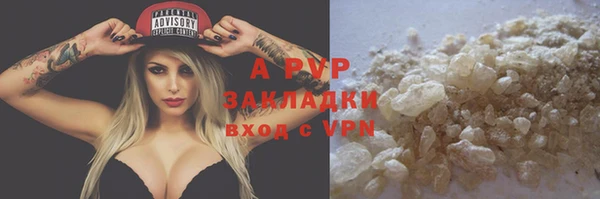 PSILOCYBIN Елизово
