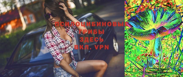 PSILOCYBIN Елизово