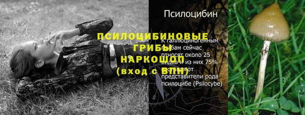 PSILOCYBIN Елизово