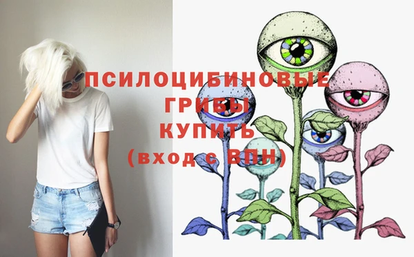 дмт Туринск