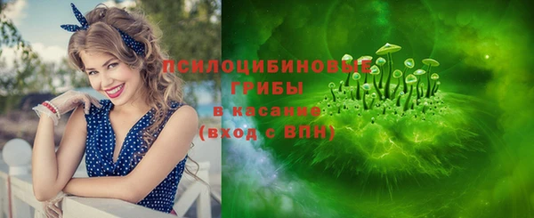 не бодяженный Ельня