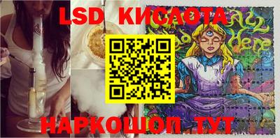 гашик Гусев