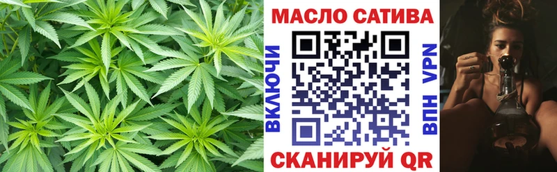цена   Ефремов  ТГК концентрат 