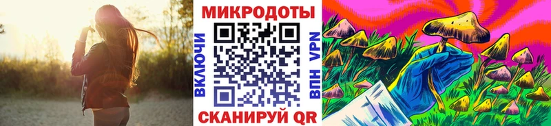 Псилоцибиновые грибы Psilocybine cubensis  где найти наркотики  Ефремов 