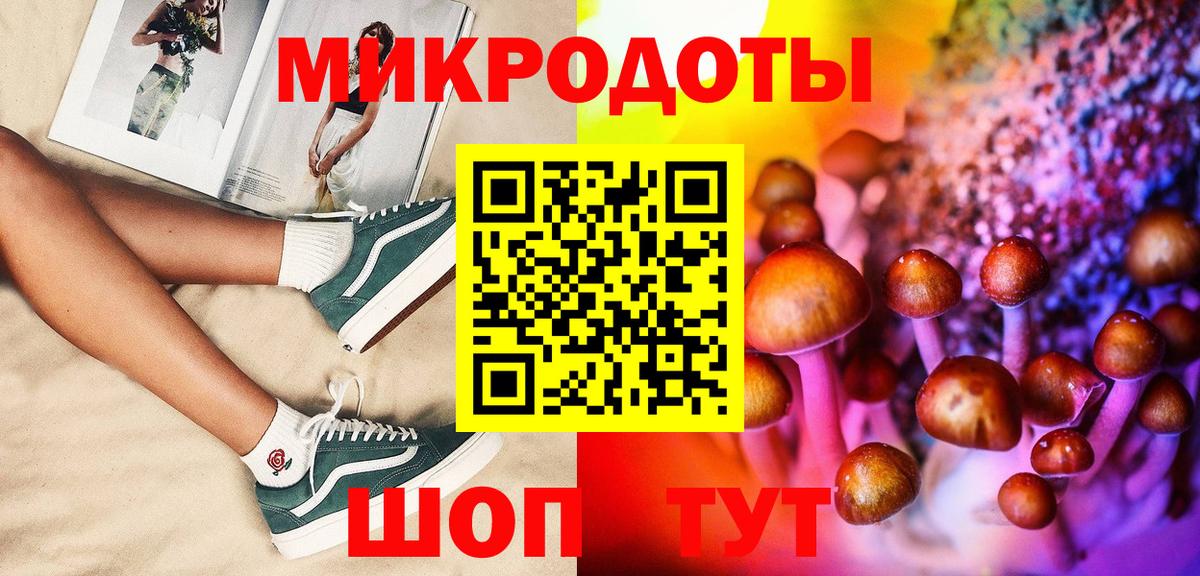 Ефремов  Псилоцибиновые грибы Magic Shrooms  Вход с VPN 